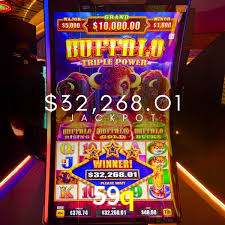 Basketball Betting 59q